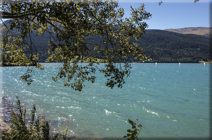 foto Lago di Resia